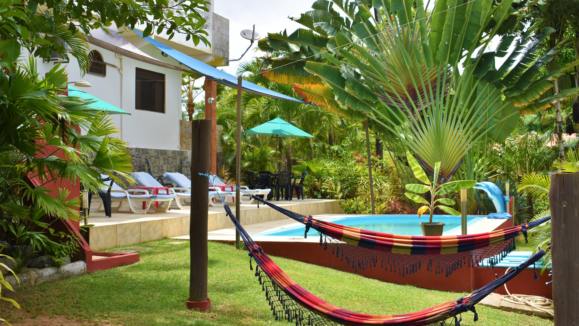 4-Day Ayahuasca Retreat with Flow Brazil Yoga, Meditation and Massage in Bahia, Brazil 5