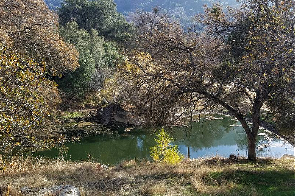 Ritiro Ayurvedico di 4 giorni: Comprensione, Detox e Cleanse in California, USA 19