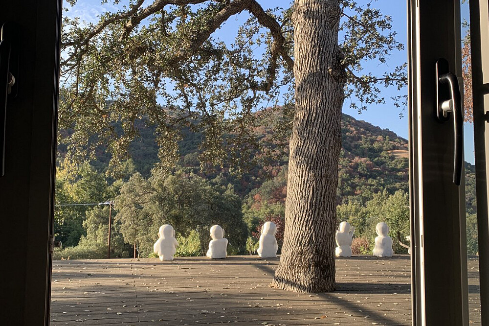 Ritiro Ayurvedico di 4 giorni: Comprensione, Detox e Cleanse in California, USA 20