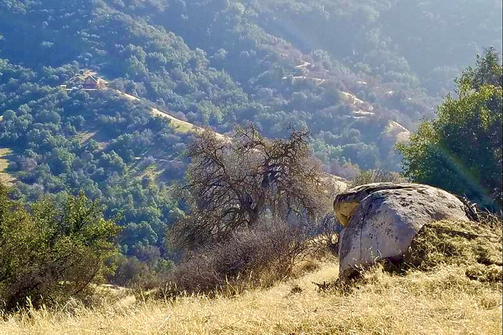 Ritiro Ayurvedico di 4 giorni: Comprensione, Detox e Cleanse in California, USA 18