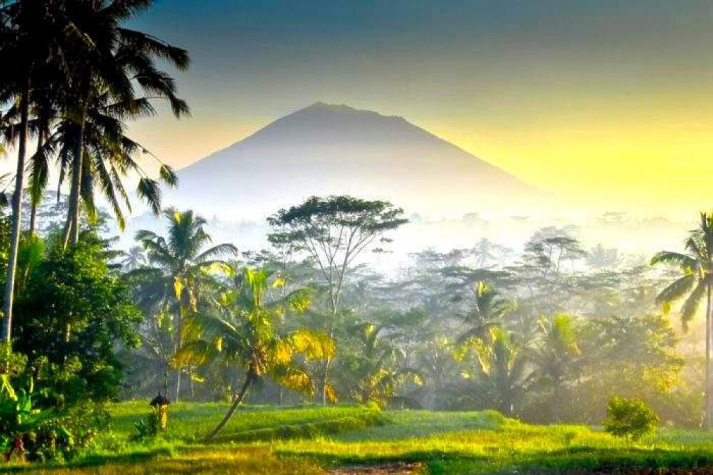 4 Day Inner Awakening Yoga, Culture & Wellness Retreat in Bali 33
