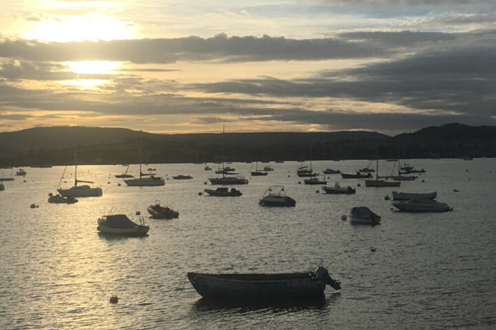 Retiro de sanación mental Komorebi de 4 días en Dawlish, Reino Unido 8