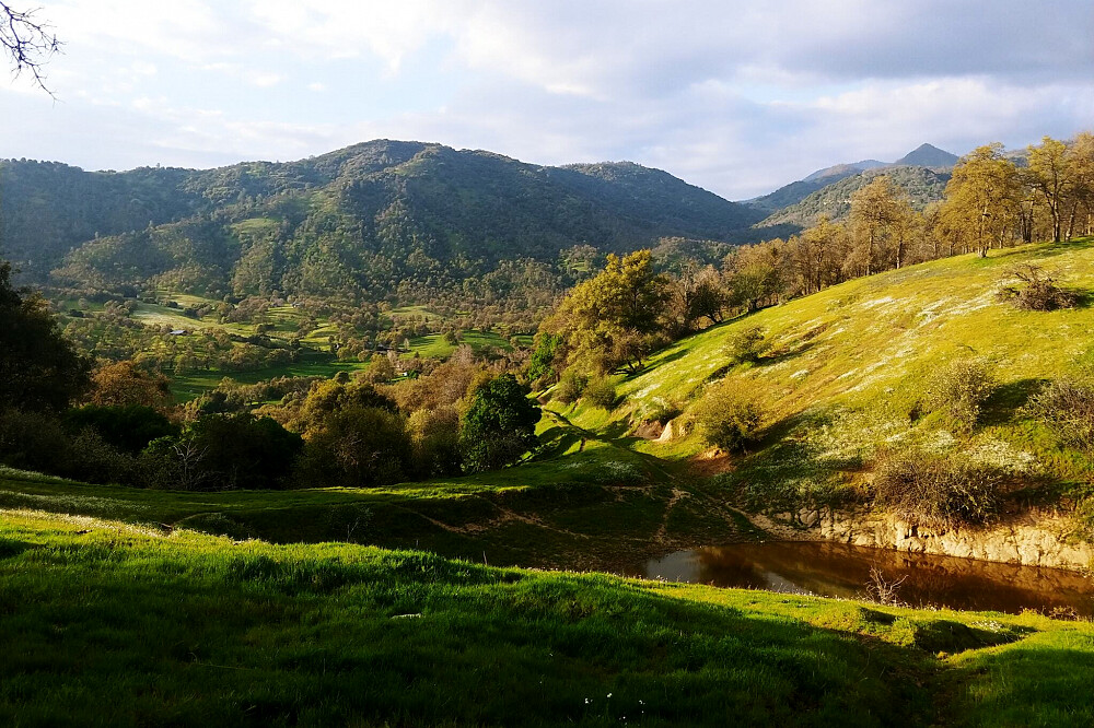 Jornada da Lua Nova de 4 dias: Meditação Silenciosa na Natureza, CA, EUA 20