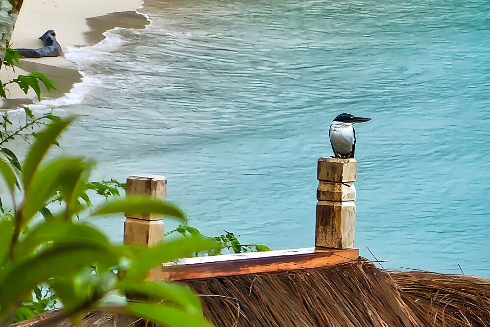 Retraite de yoga et de méditation de 4 jours face à l’océan, près de Bali, en Indonésie 44