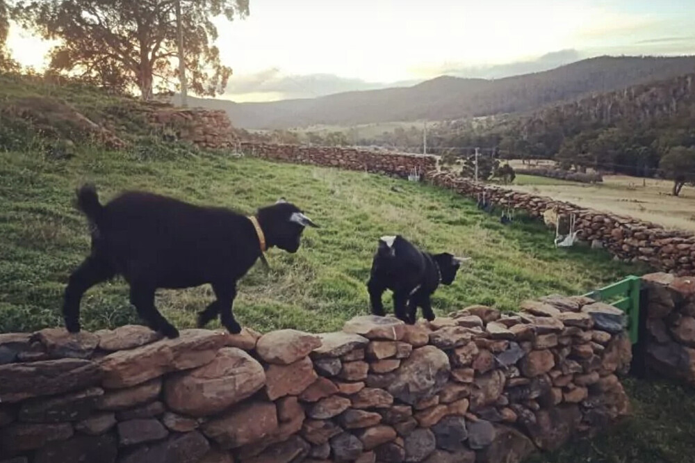 4 Day Private Couples Immersion Retreat in Tasmania 11