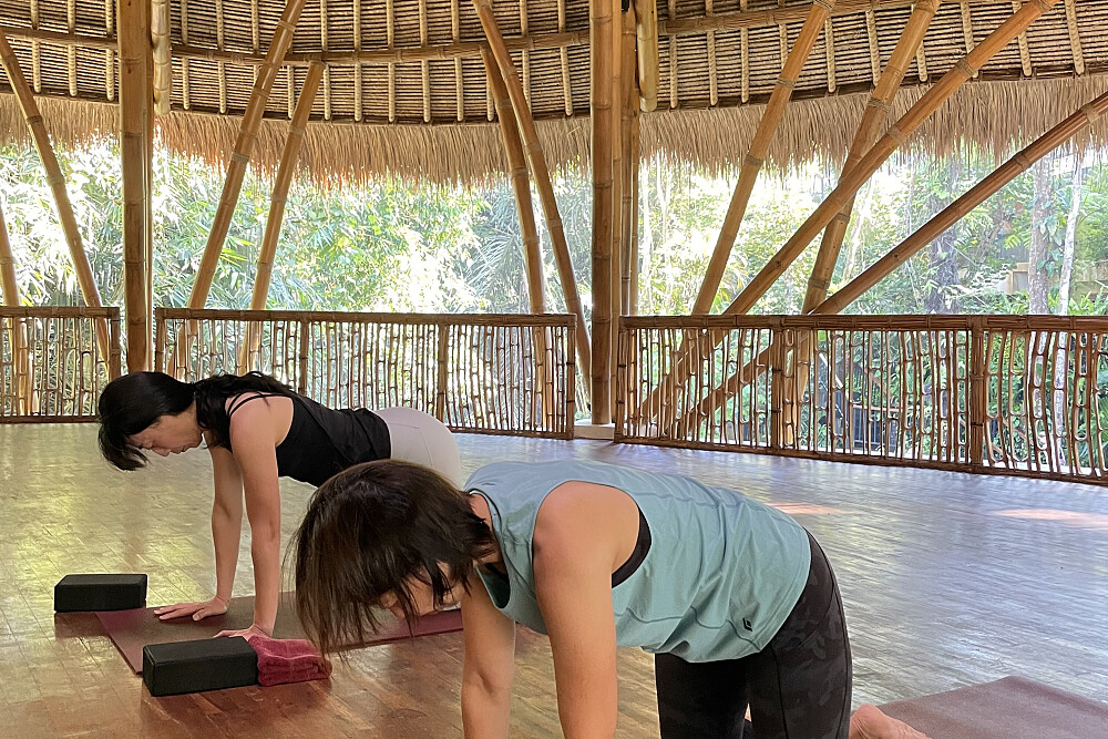 Retraite de purification, de yoga et d’autoguérison de 4 jours à Ubud 16