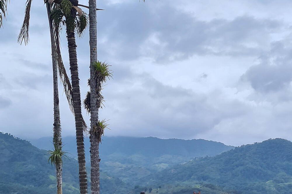Retiro de 4 Dias para Reconectar, Recarregar e Relaxar: Yoga e Natureza, Costa Rica 7