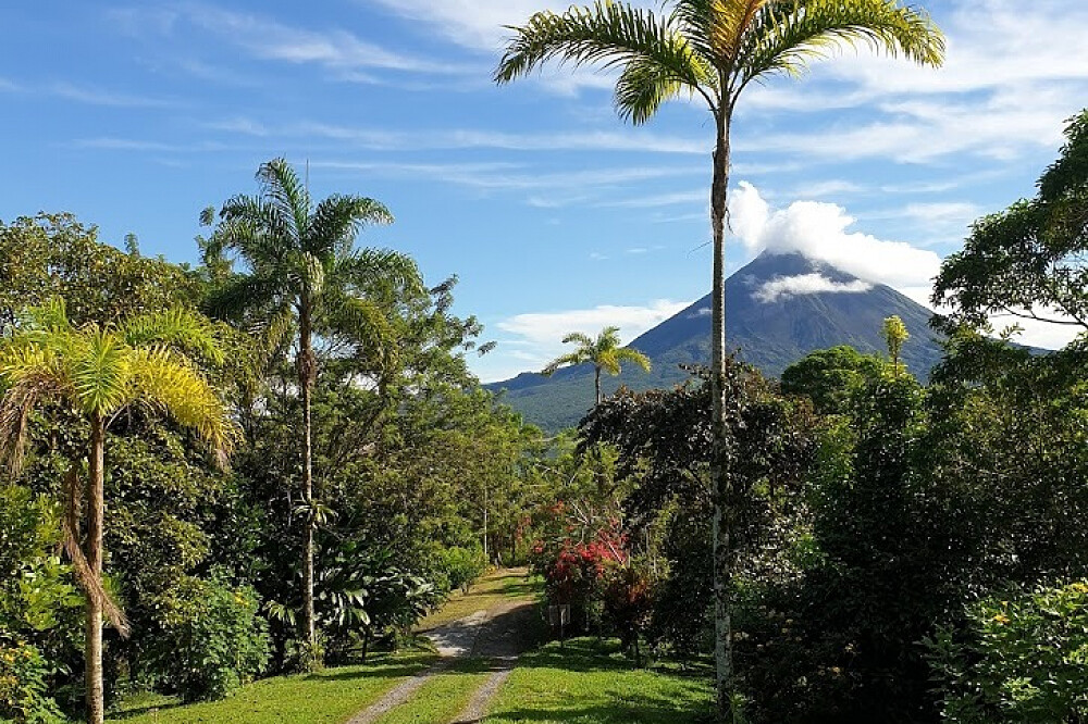 Ritiro di yoga di 4 giorni nella foresta pluviale a El Castillo, Costa Rica 10