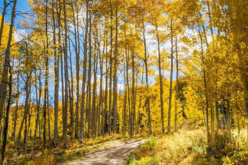 Retraite yoga et aventure en montagne de 4 jours dans les Rocheuses, à Keystone (Colorado) 35