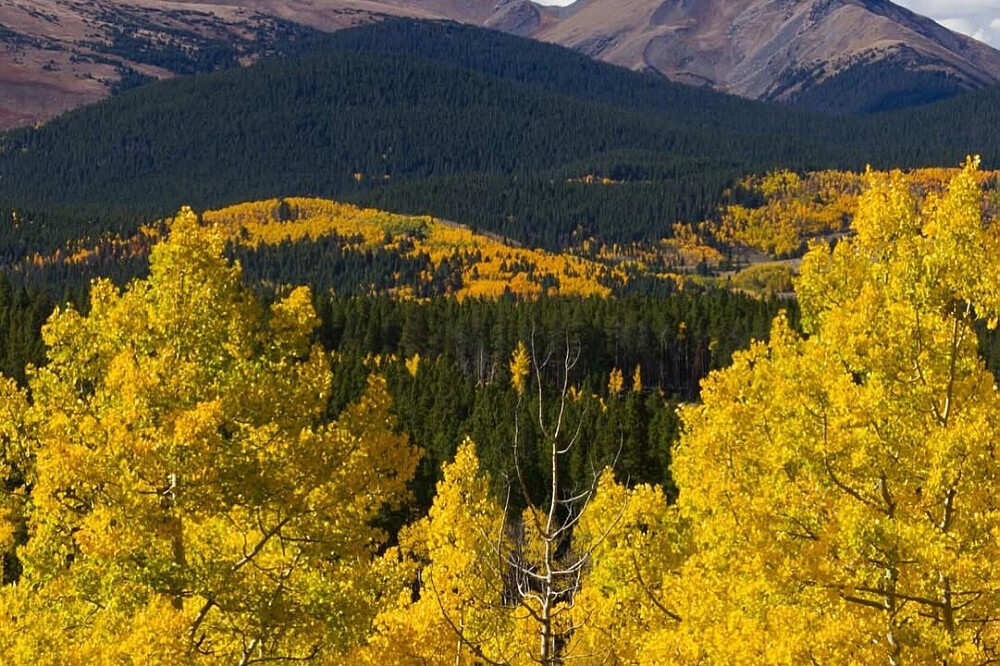 Retraite yoga et aventure en montagne de 4 jours dans les Rocheuses, à Keystone (Colorado) 38