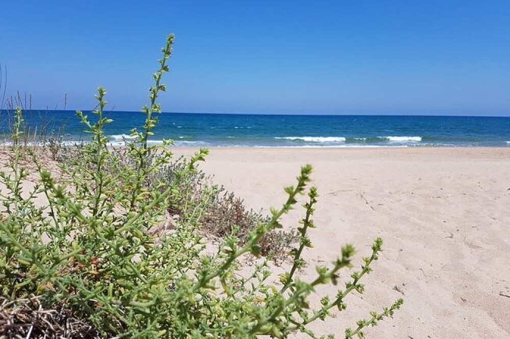 4 Day Silence & Meditation Infinite Consciousness & Yoga in Spain 3