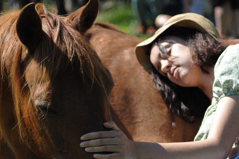 4 Day The Wild Woman With Horses Retreat in the UK 3