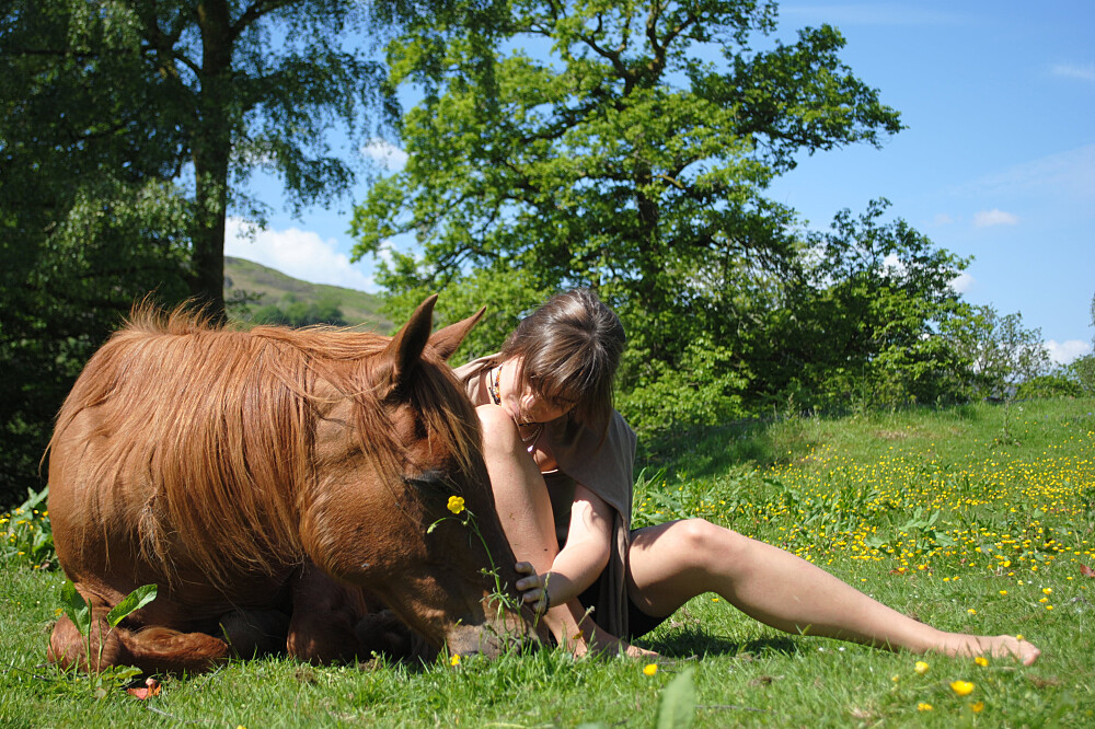 4 Day The Wild Woman With Horses Retreat in the UK 5