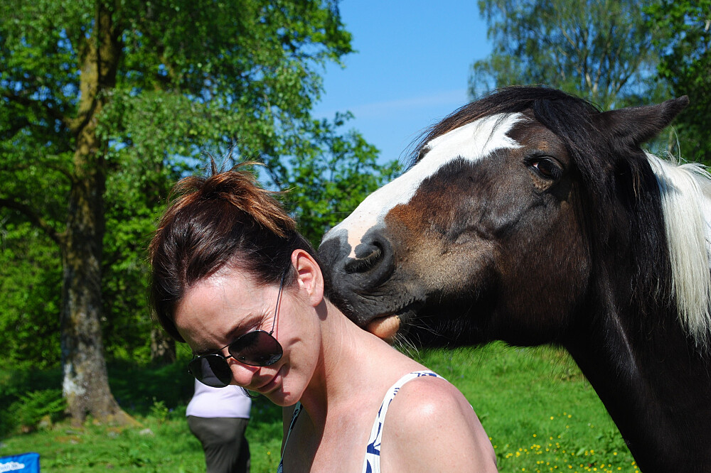 4 Day The Wild Woman With Horses Retreat in the UK 4