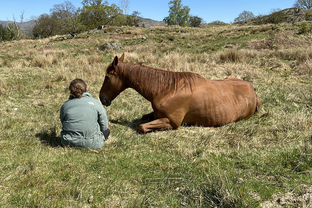 Retiro «A Mulher Selvagem com Cavalos» de 4 Dias no Reino Unido 40
