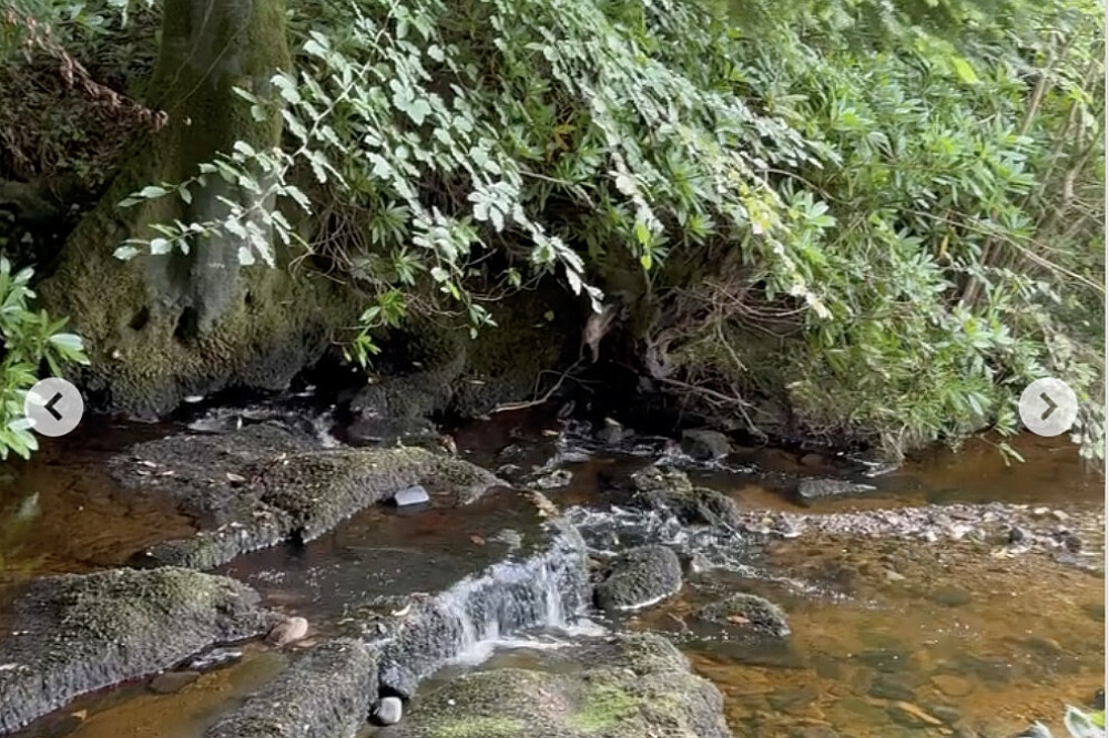 4 Day Women's Quiet Luxury Digital Detox Retreat in Scotland 5