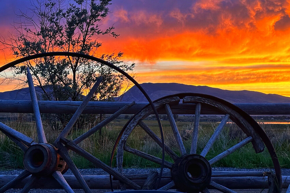 Schrijversretreat van 4 dagen buiten Yellowstone, WY, VS 11