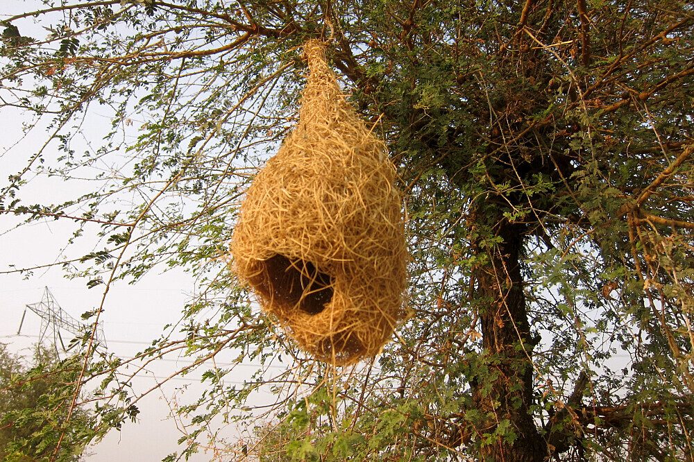 4 Day Yoga and Wellness Retreat at Savista in Jaipur, India 4