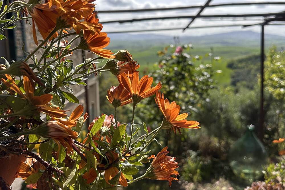 Retraite yoga et voyage intérieur de 4 jours dans un village médiéval de Toscane, en Italie 12