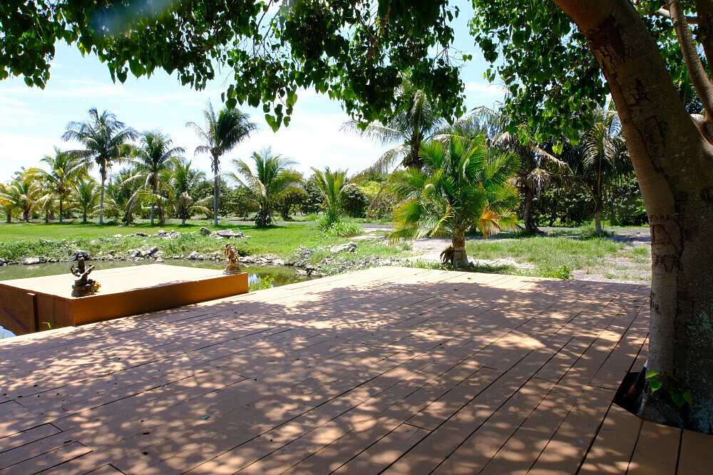 4 Daagse Ayurvedische Detox Weekend Retreat in Florida, VS 20