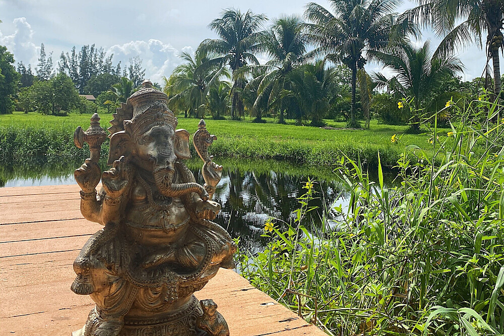 4 Daagse Ayurvedische Detox Weekend Retreat in Florida, VS 11