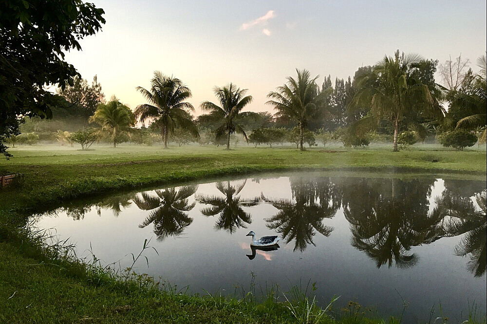 4 Days Ayurvedic Detox Weekend Retreat in Florida, US 5