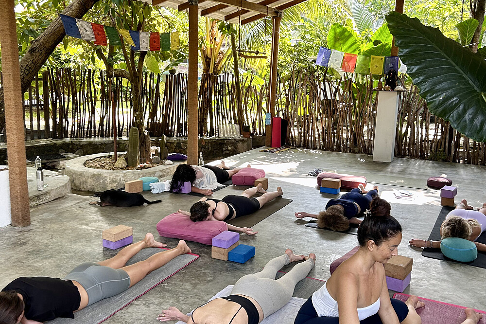 Corso fondamentale di Yin Yoga da 5 giorni e 50 ore in Sri Lanka 10