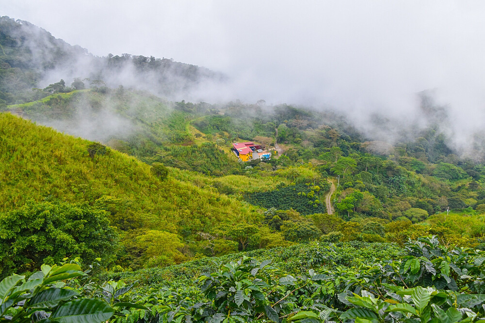 5 Tage 72 Hours Survival Patterns Total Reset in Costa Rica 32