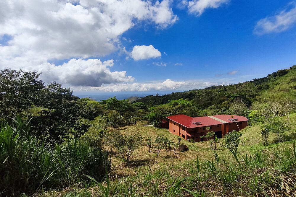 5 Tage 72 Hours Survival Patterns Total Reset in Costa Rica 31