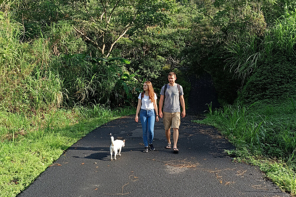 5 Day 72 Hours Survival Patterns Total Reset in Costa Rica 5