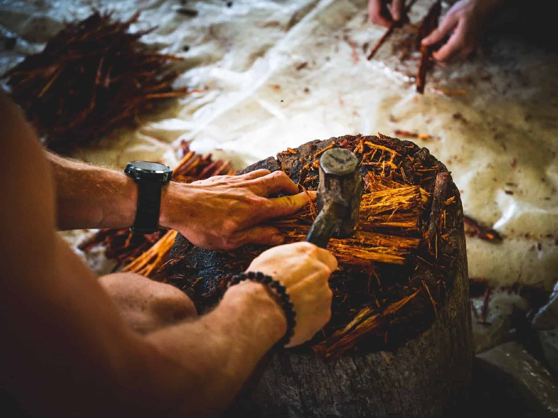 Retraite de 5 jours à l'ayahuasca dans l'Amazonie équatorienne 8