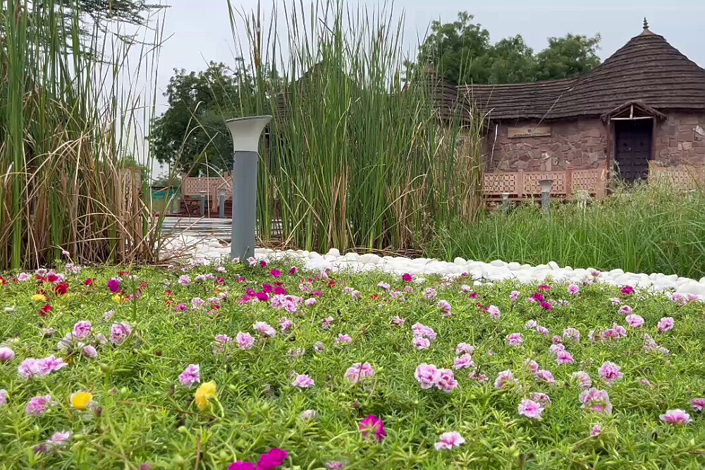 5 Day Ayurveda Wellness and Rejuvenation Retreat in India 5