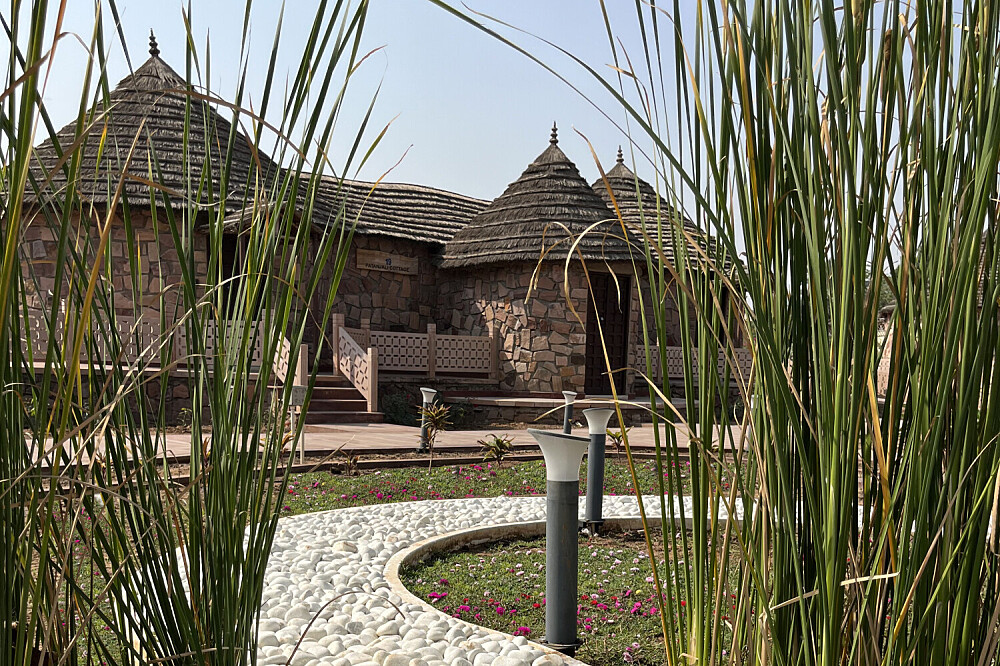 5 Day Ayurveda Wellness and Rejuvenation Retreat in India 2