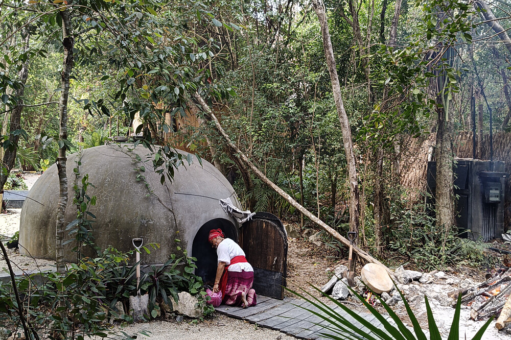 5 Day Bufo Ayahuasca Retreat in Akumal, Mexico