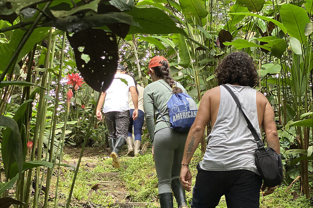 5 Day Energy-Balancing Wellness & Transformation Retreat in the Colombian Amazonas 3