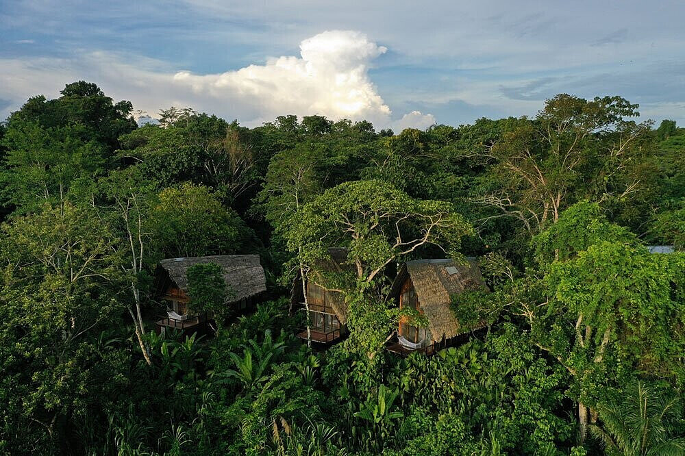 Retraite de bien-être et de transformation de 5 jours pour rééquilibrer son énergie en Amazonie colombienne 9