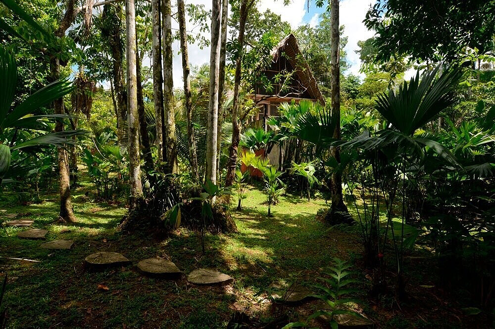 Retraite de bien-être et de transformation de 5 jours pour rééquilibrer son énergie en Amazonie colombienne 14