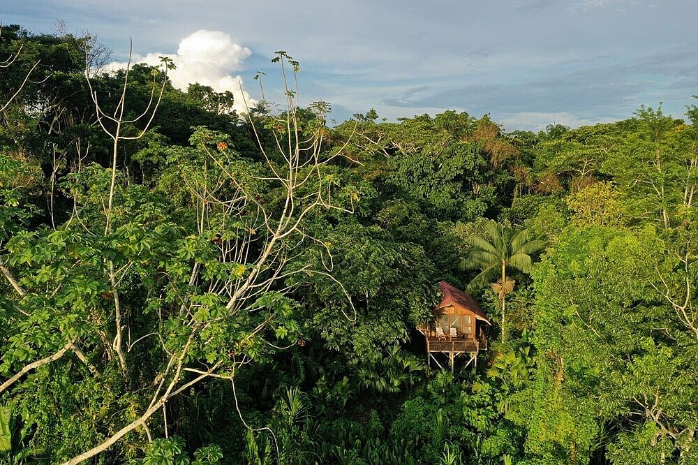 Retraite de bien-être et de transformation de 5 jours pour rééquilibrer son énergie en Amazonie colombienne 13