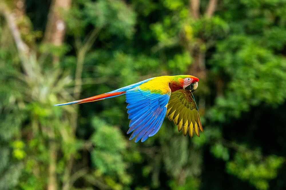 5 Day Expert-Led Women’s Emotional Reset Retreat Costa Rica