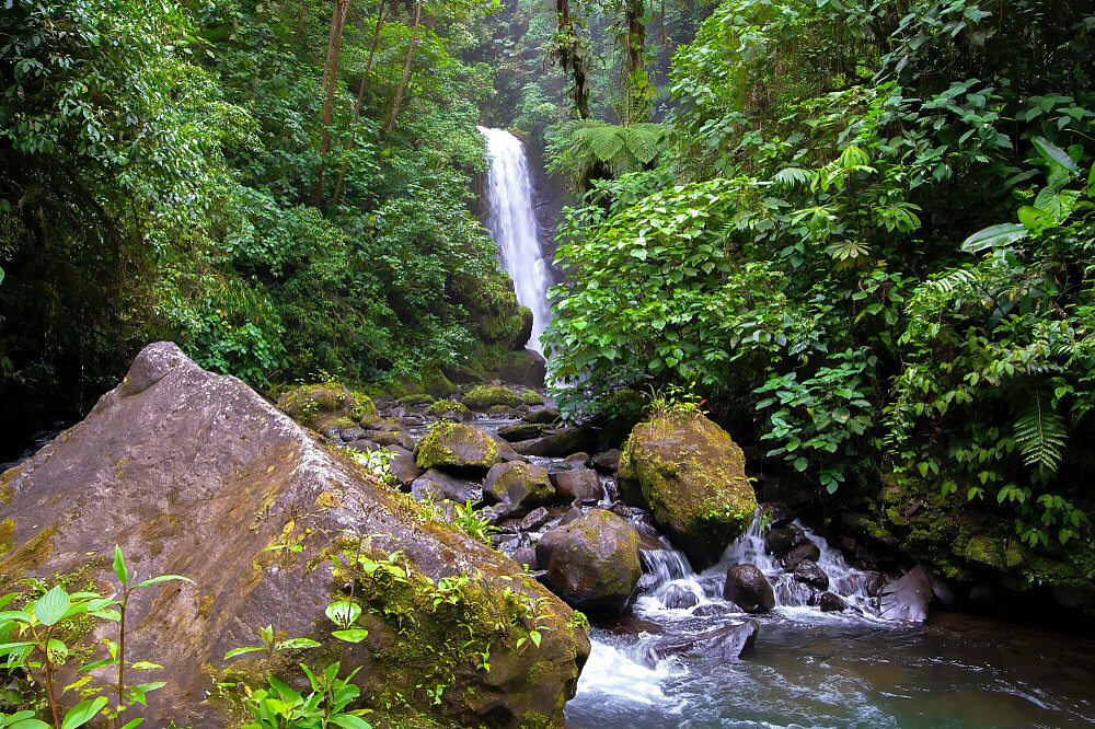 Retraite de réinitialisation émotionnelle pour femmes de 5 jours, encadrée par des experts, au Costa Rica 10