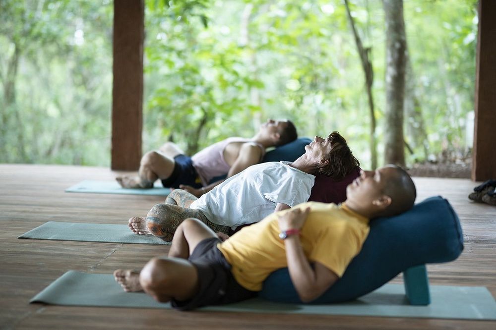 5 Day Jungle, Village & Yoga Experience in Sri Lanka