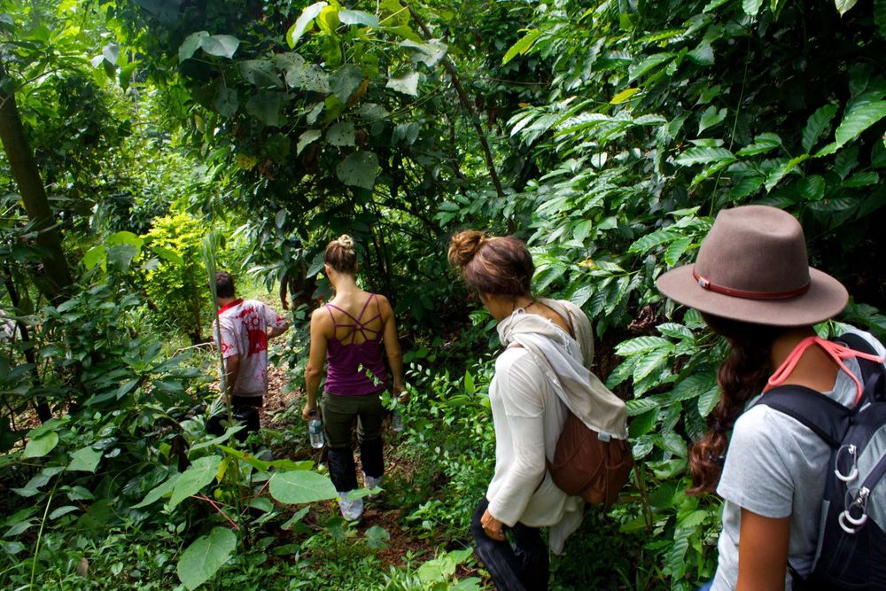 5 Tage Dschungel-, Dorf- und Yoga-Erlebnis in Sri Lanka 26