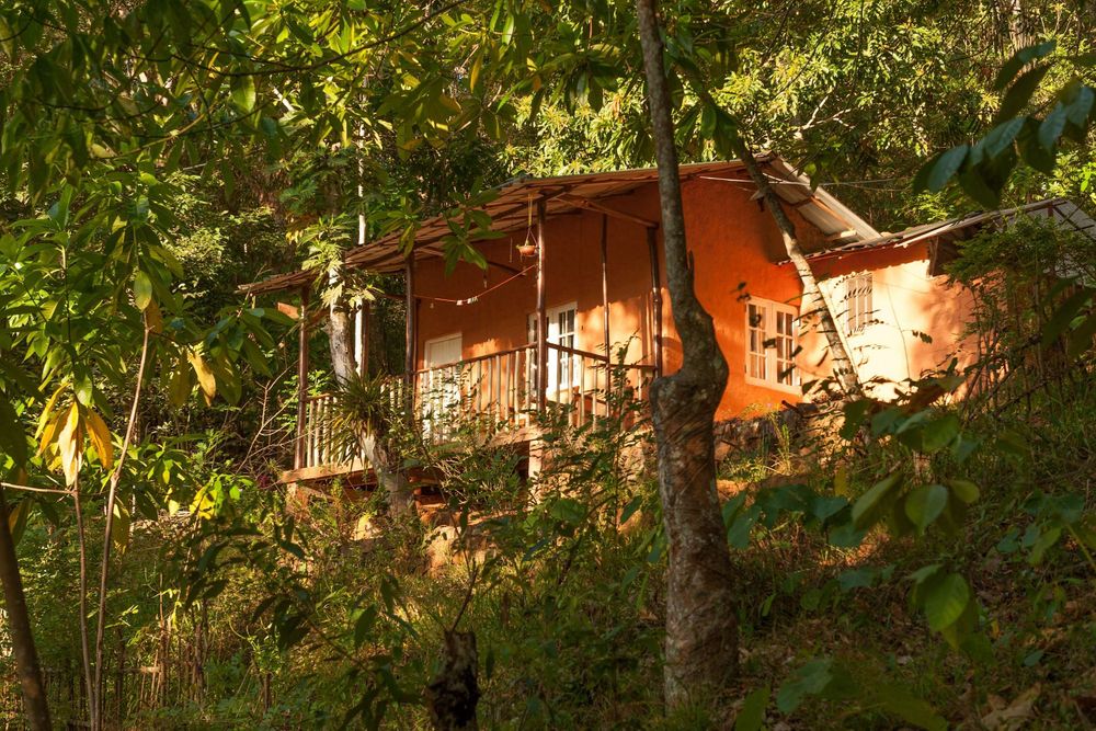 5 Tage Dschungel-, Dorf- und Yoga-Erlebnis in Sri Lanka 7