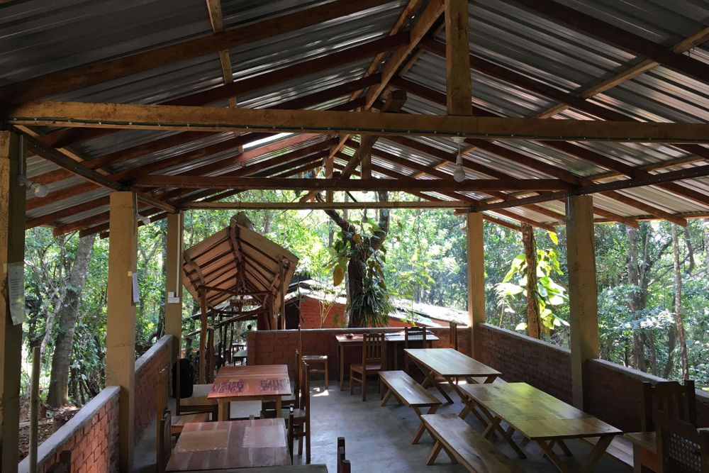 5 Tage Dschungel-, Dorf- und Yoga-Erlebnis in Sri Lanka 13