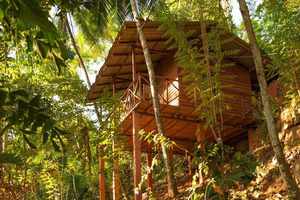 5 Tage Dschungel-, Dorf- und Yoga-Erlebnis in Sri Lanka 27