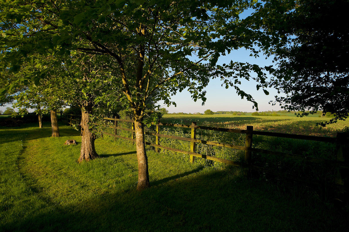 5-Tage-Longevity-Retreat im The Detox Barn, Suffolk 4