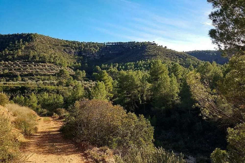 5-tägiges Meditations- & Schweigegehen-Retreat in Valencia, Spanien 14