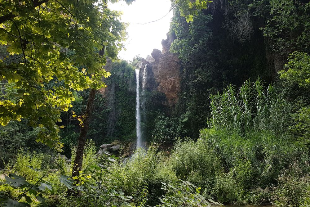 5-tägiges Meditations- & Schweigegehen-Retreat in Valencia, Spanien 11