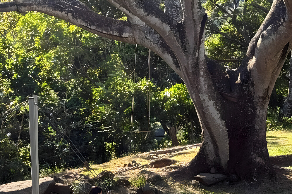 Retraite de réinitialisation mentale et de vie consciente de 5 jours dans la jungle, Costa Rica 13