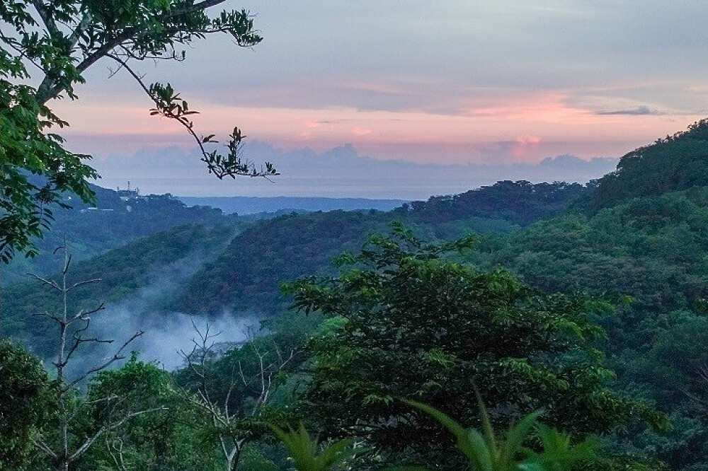 Retraite de réinitialisation mentale et de vie consciente de 5 jours dans la jungle, Costa Rica 38